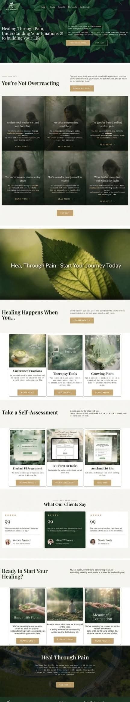 Web development project