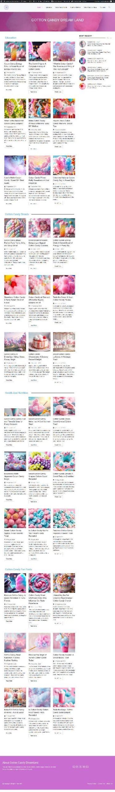 Web development project