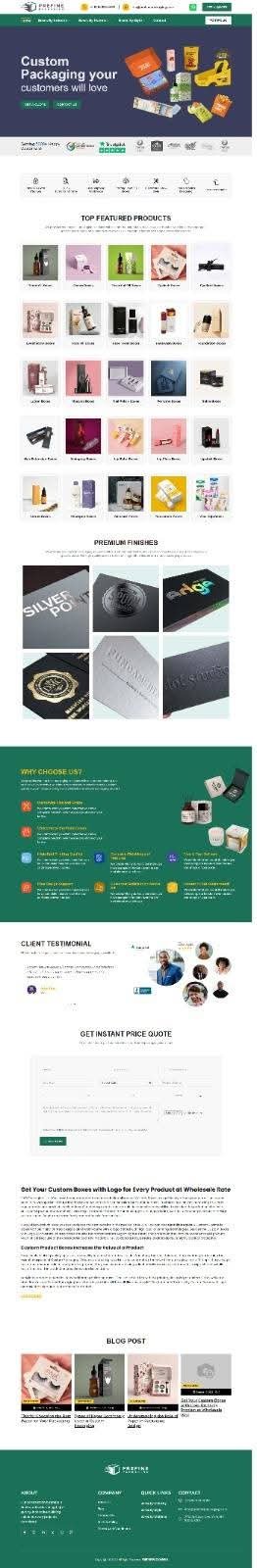 Web development project